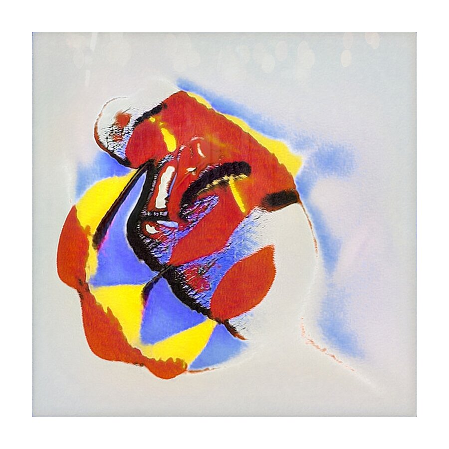 697 8K Picture Frame print