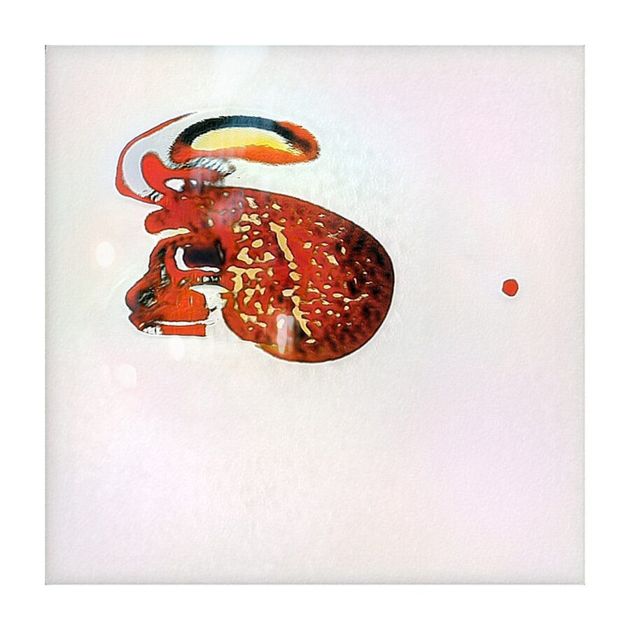 720 8K Picture Frame print