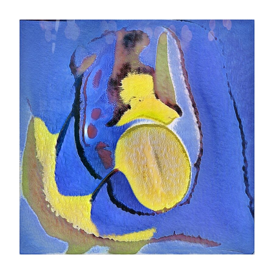 705 8K Picture Frame print