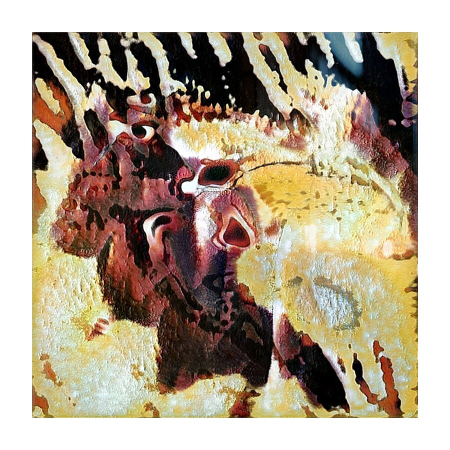 756 8K Picture Frame print