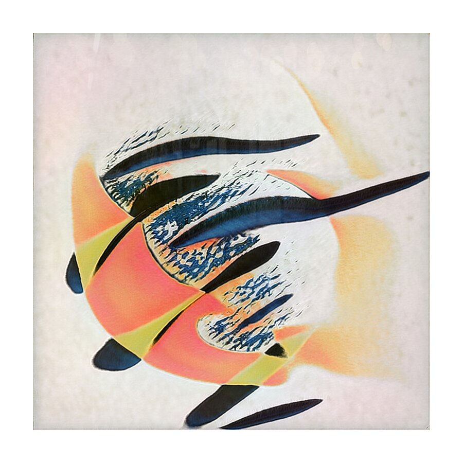 771 8K Picture Frame print