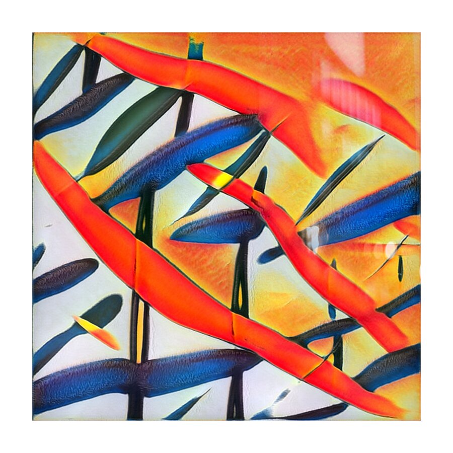 855 8K Picture Frame print