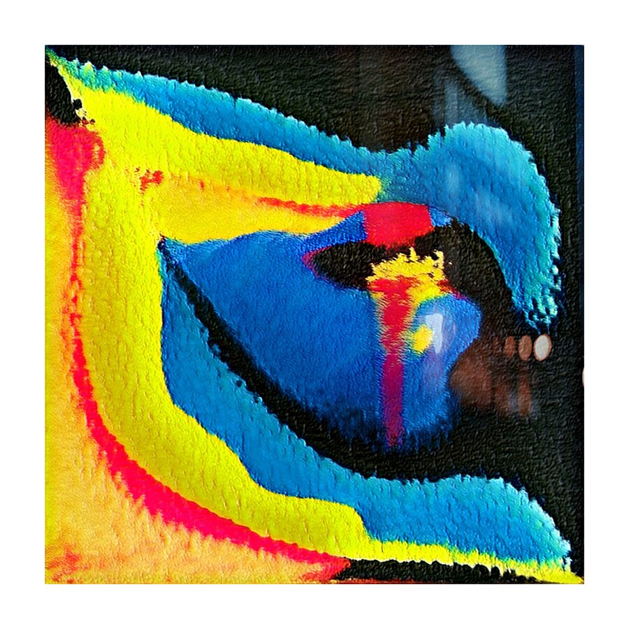 879 8K Picture Frame print