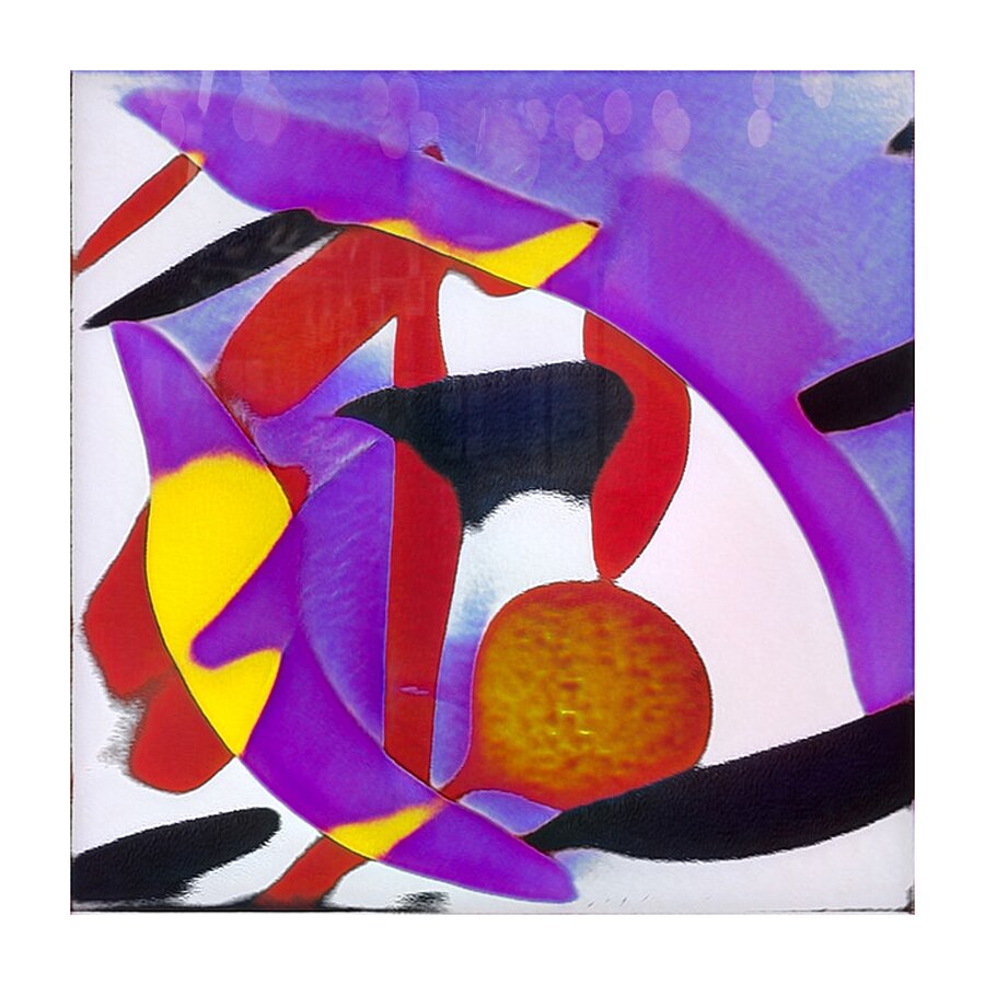 877 8K Picture Frame print