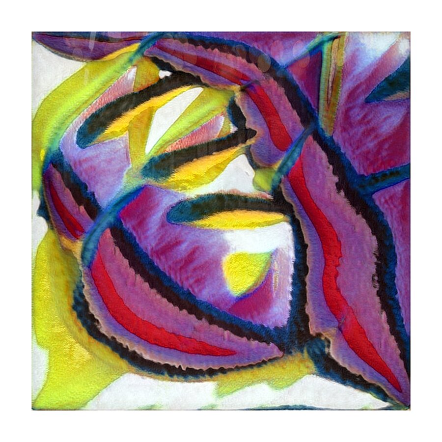 933 8K Picture Frame print