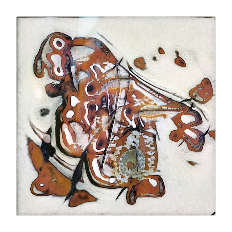 944 8K Picture Frame print