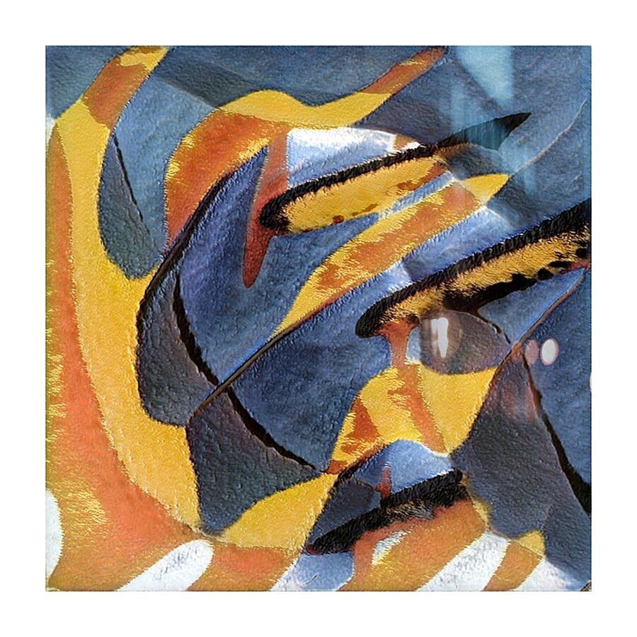 981 8K Picture Frame print