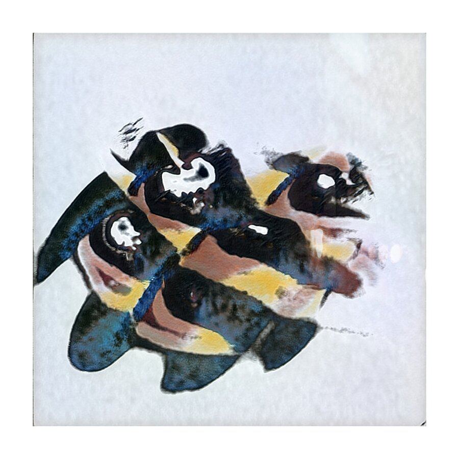 1017 8K Picture Frame print