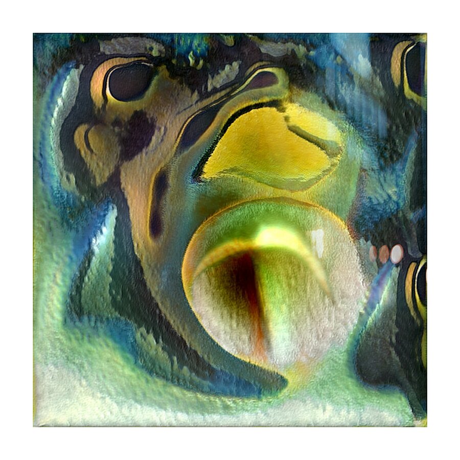 1001 8K Picture Frame print