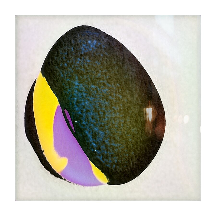 1015 8K Picture Frame print