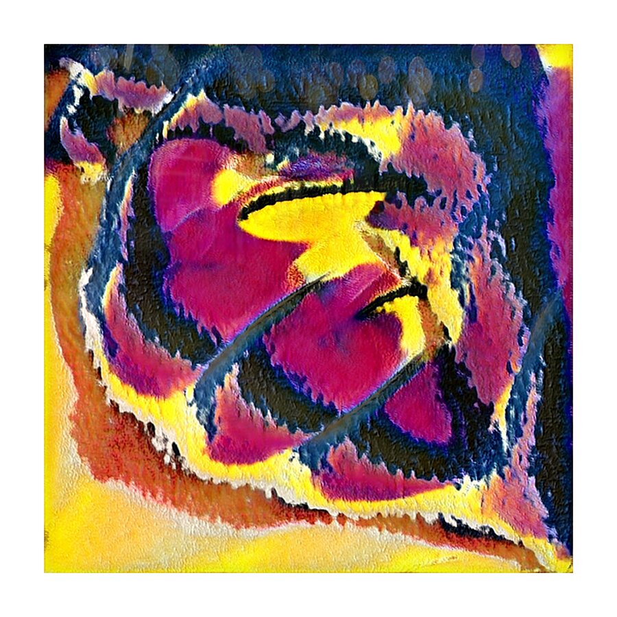 1010 8K Picture Frame print