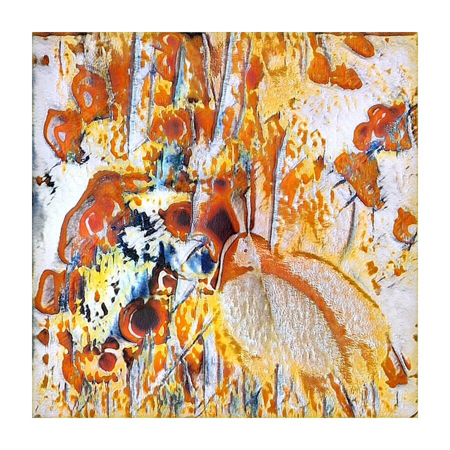 1025 8K Picture Frame print