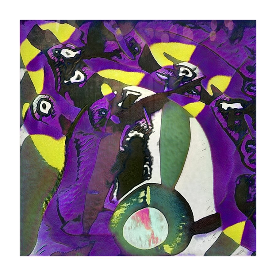 1105 8K Picture Frame print