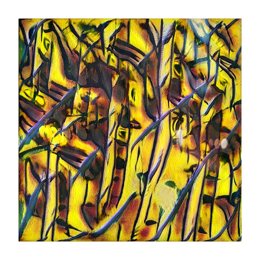 1073 8K Picture Frame print