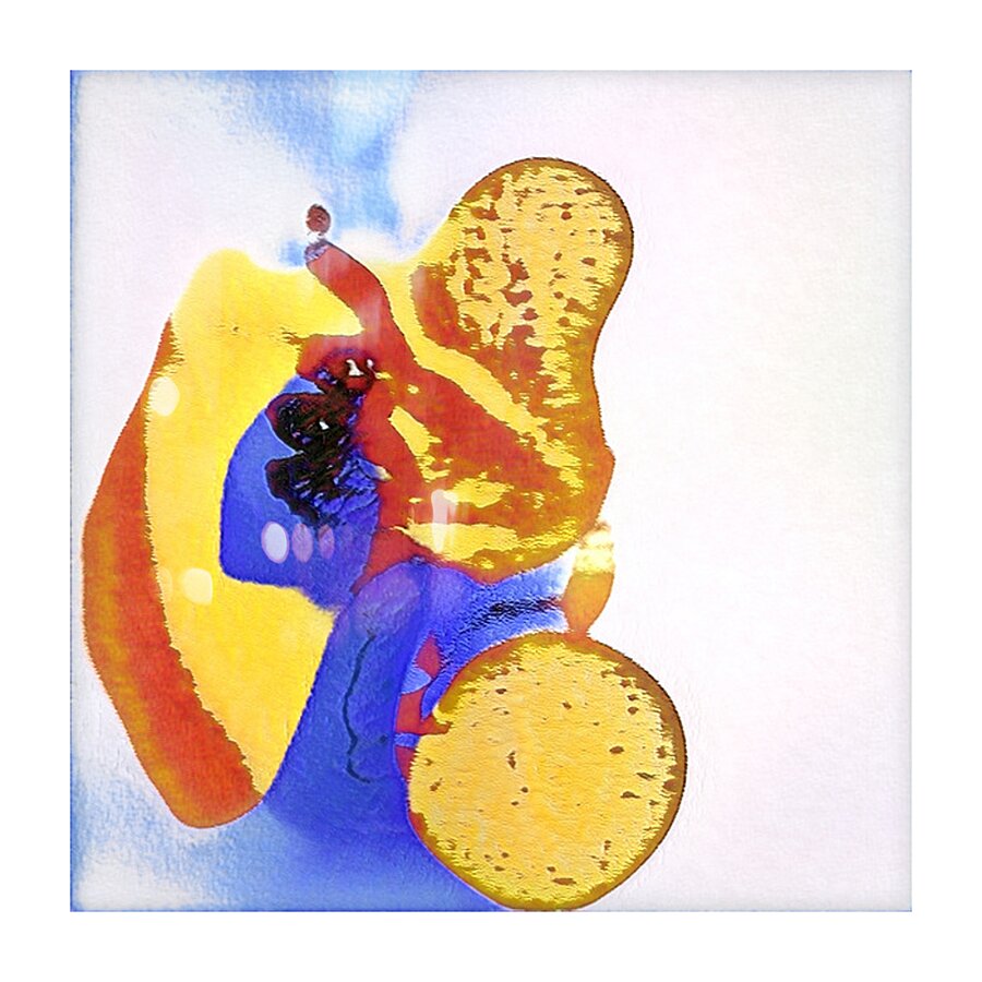 1097 8K Picture Frame print