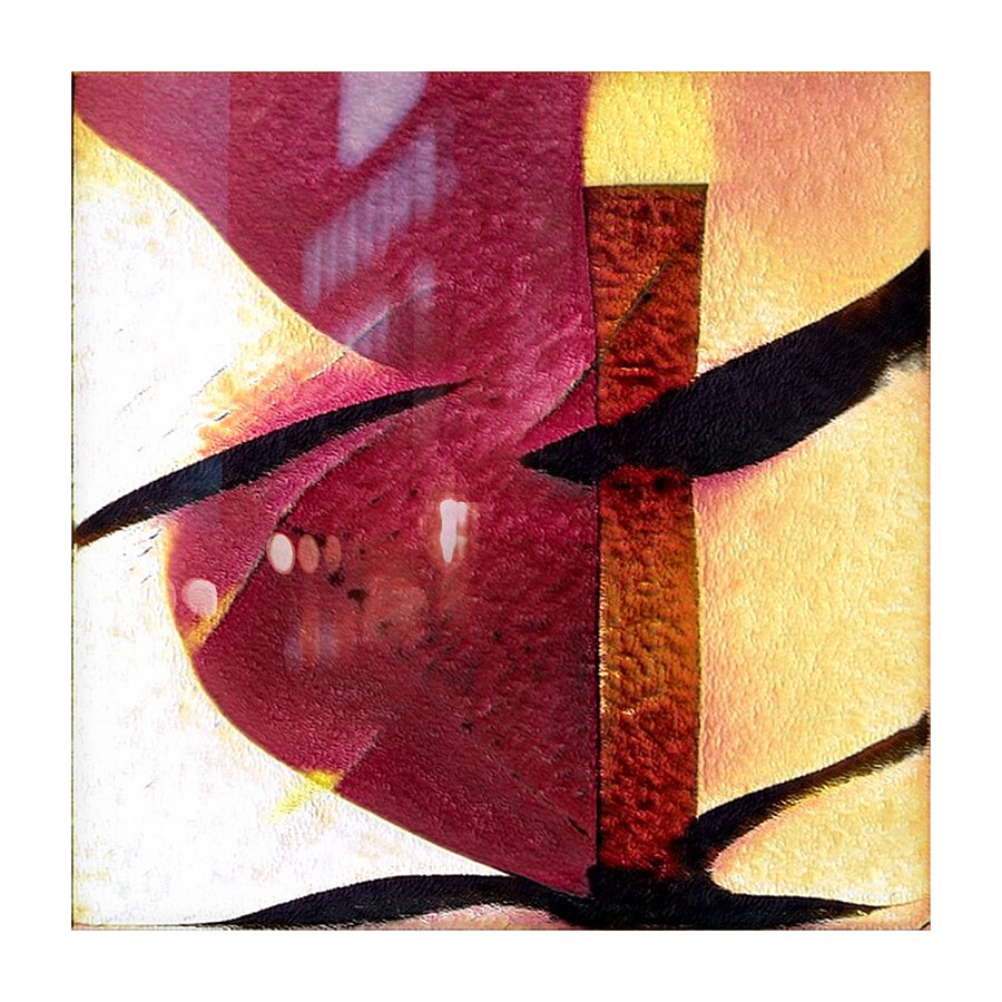 1137 8K Picture Frame print