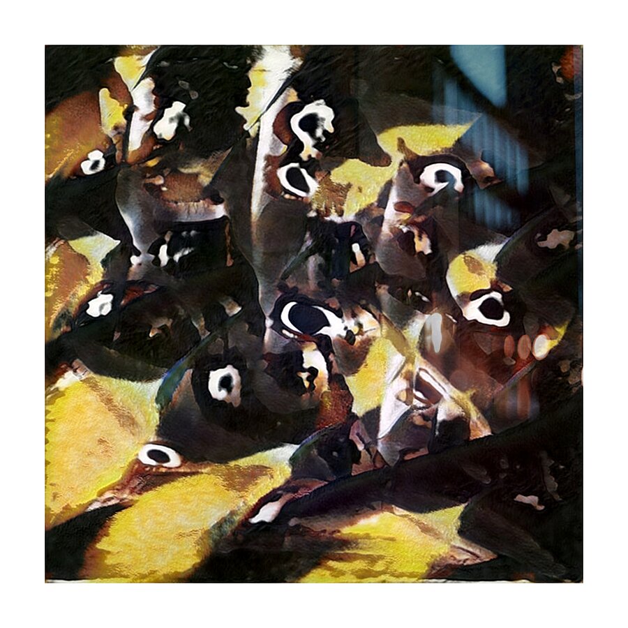 1119 8K Picture Frame print