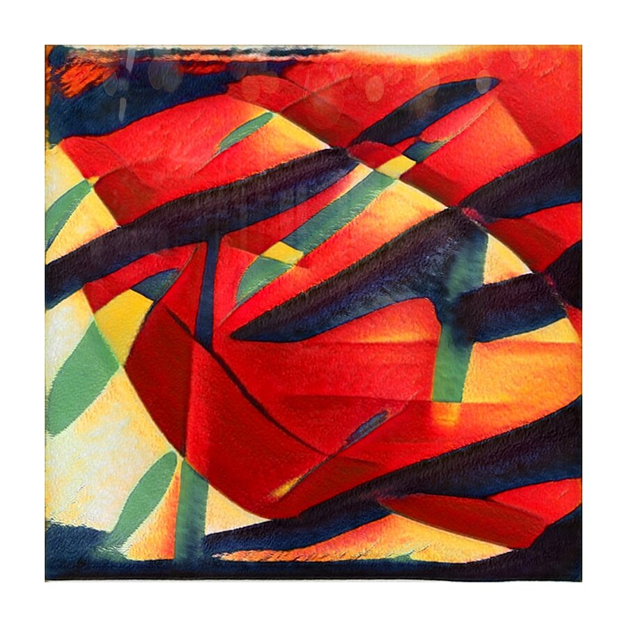 1177 8K Picture Frame print