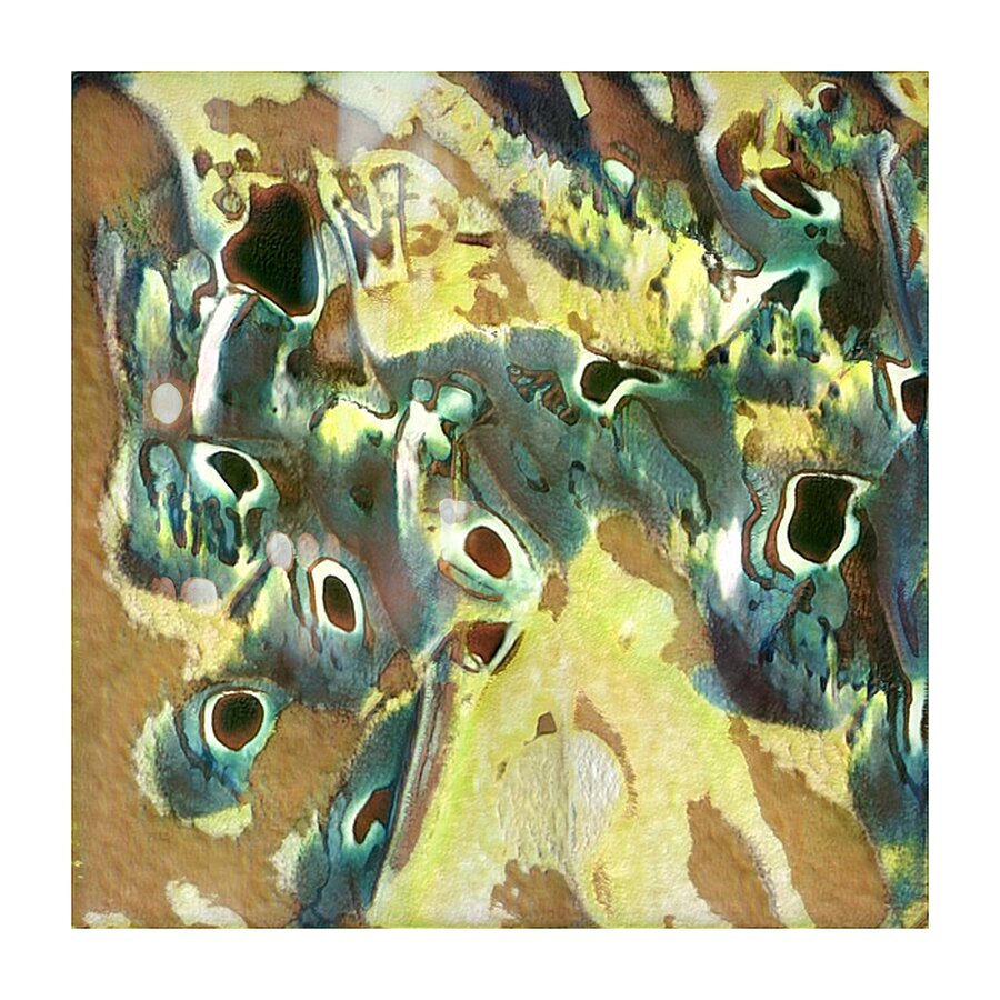 1198 8K Picture Frame print