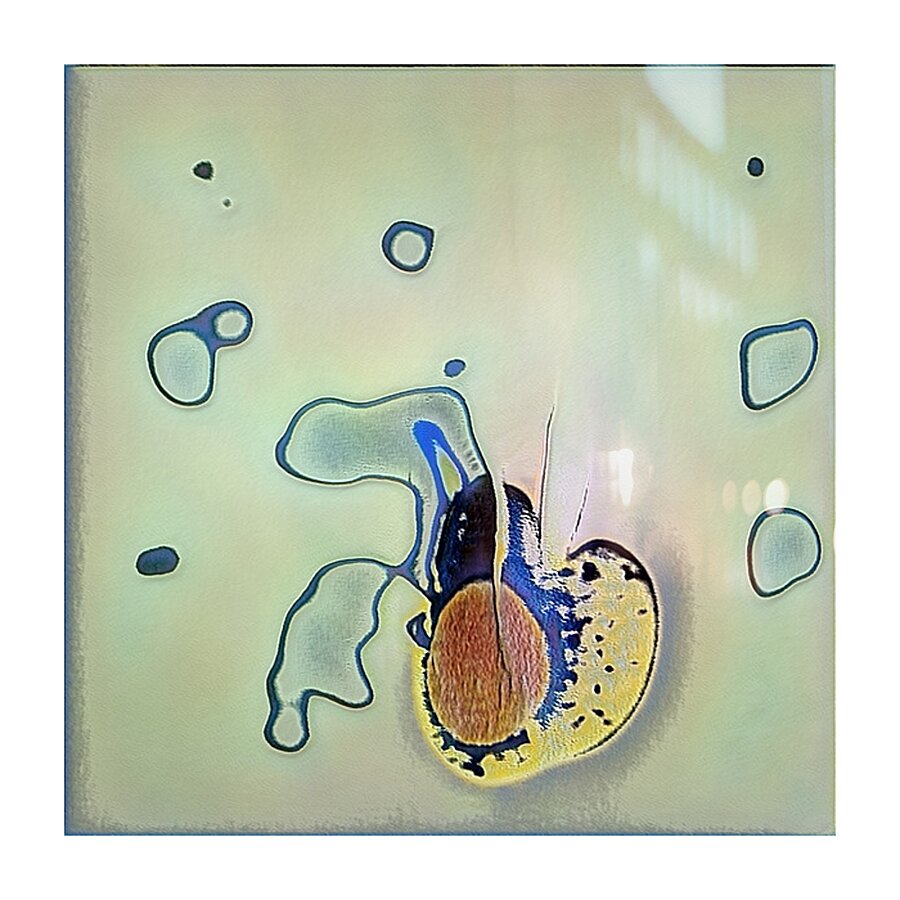 1220 8K Picture Frame print