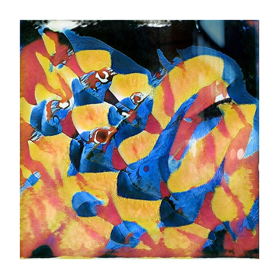 1231 8K Picture Frame print