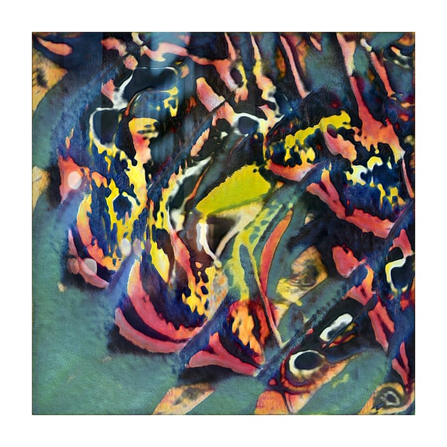 1235 8K Picture Frame print