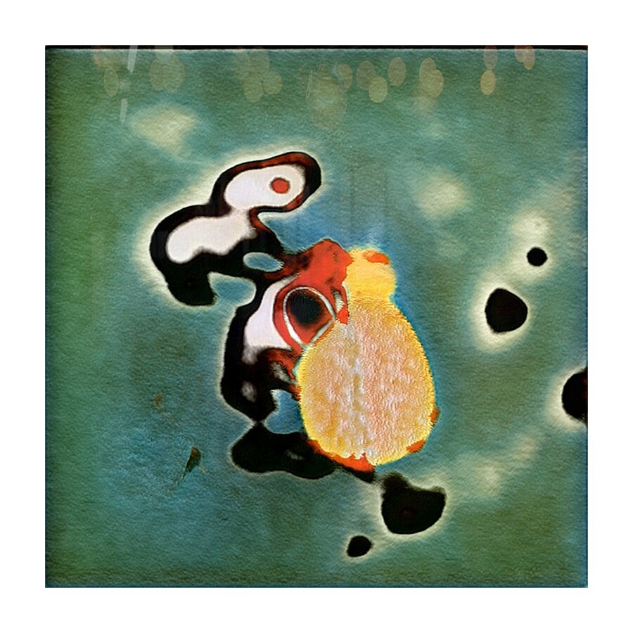 1300 8K Impression et Cadre photo