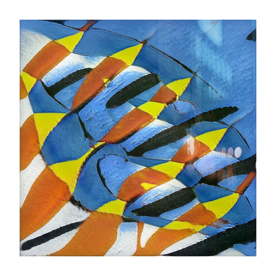 1274 8K Picture Frame print