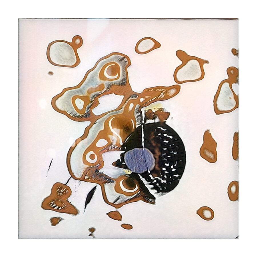 1298 8K Picture Frame print