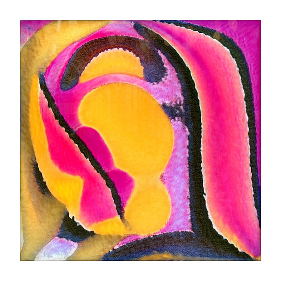 1284 8K Picture Frame print