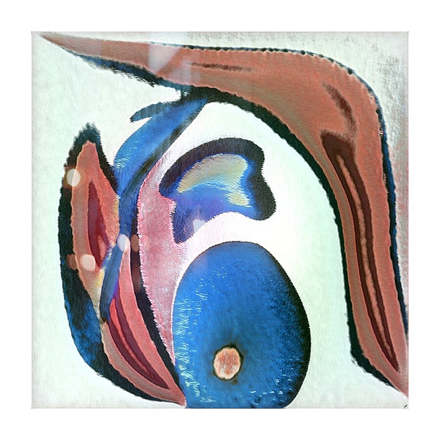 1279 8K Picture Frame print