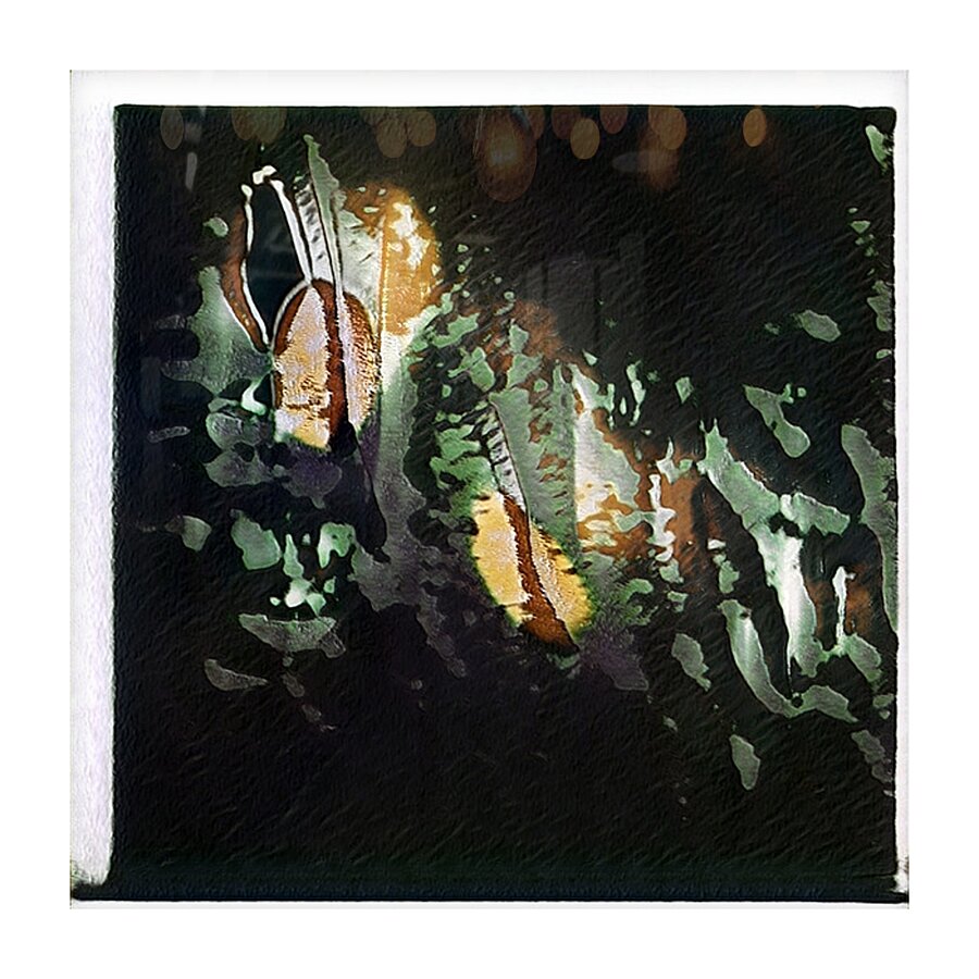 1309 8K Picture Frame print