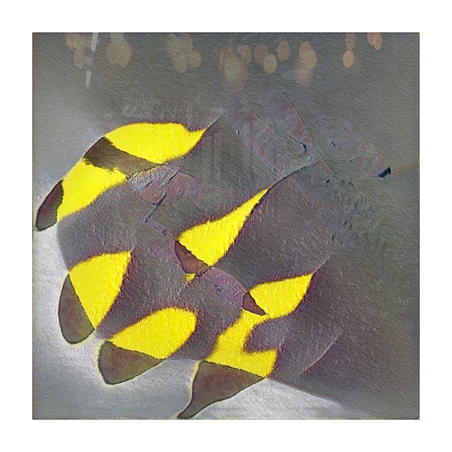 1325 8K Picture Frame print