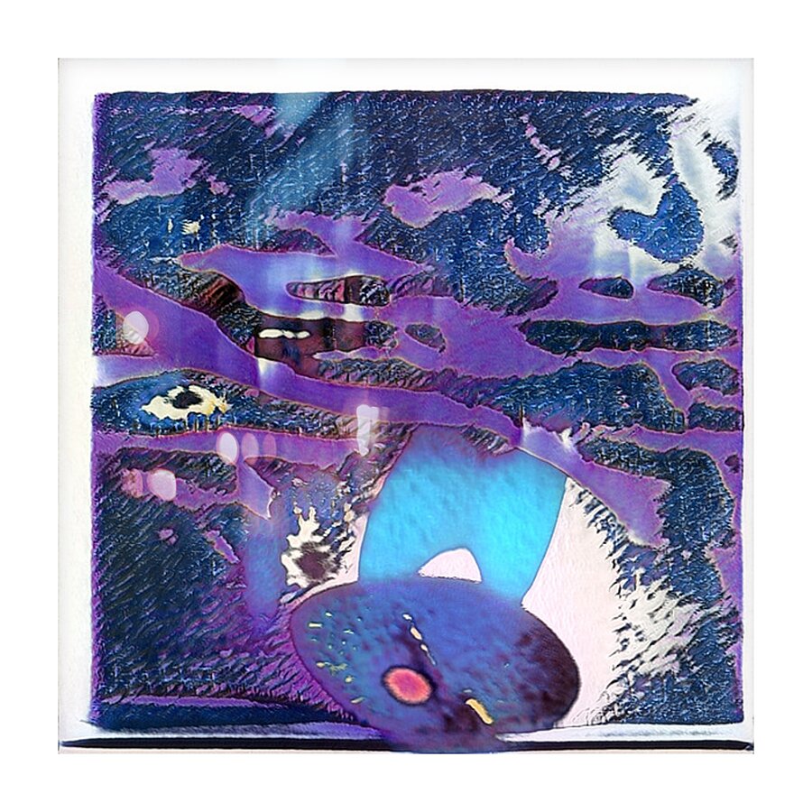 1334 8K Picture Frame print