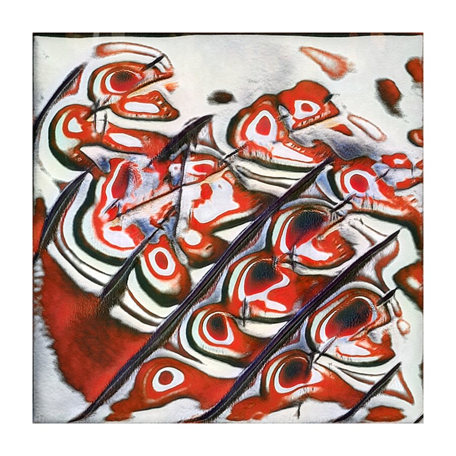 1321 8K Picture Frame print