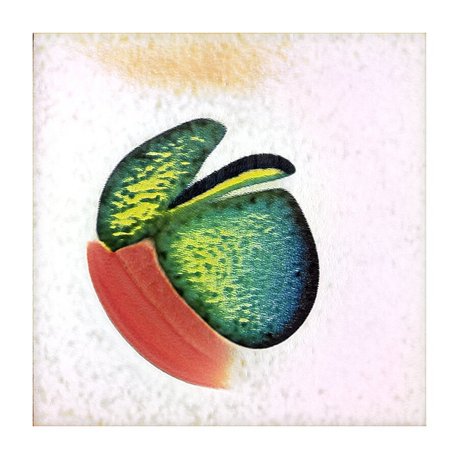 1375 8K Picture Frame print