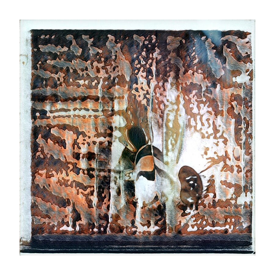 1422 8K Picture Frame print