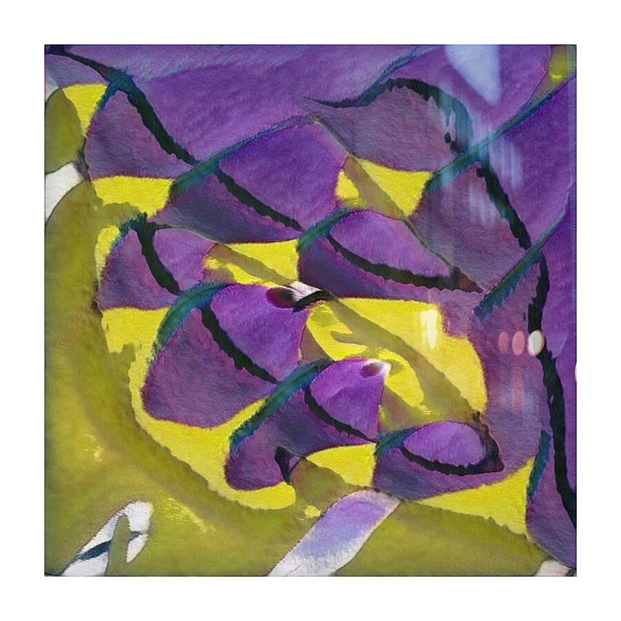 1437 8K Picture Frame print