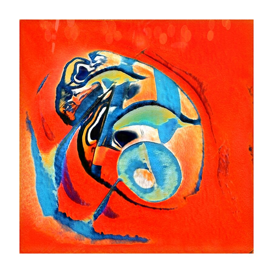 1431 8K Picture Frame print