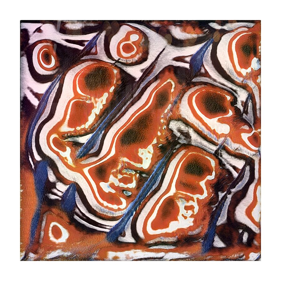 1442 8K Picture Frame print