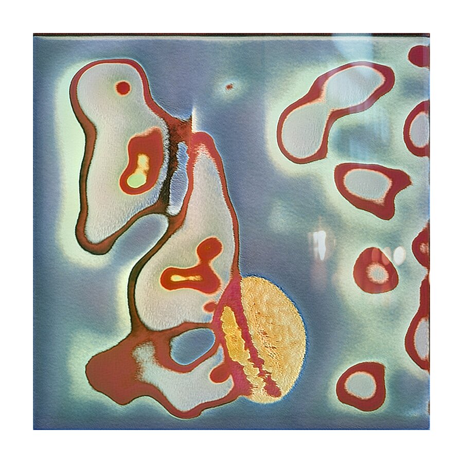 1491 8K Picture Frame print