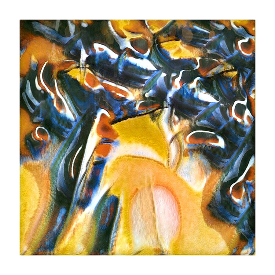 1509 8K Picture Frame print