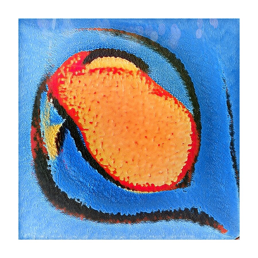 1484 8K Picture Frame print