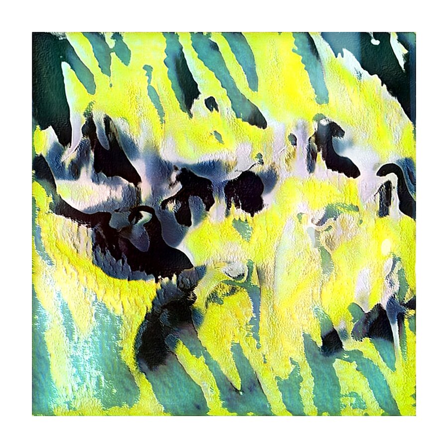 1493 8K Picture Frame print