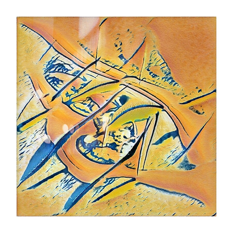 1483 8K Picture Frame print