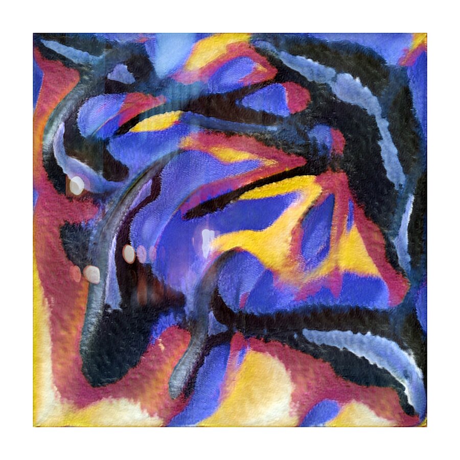 1507 8K Picture Frame print