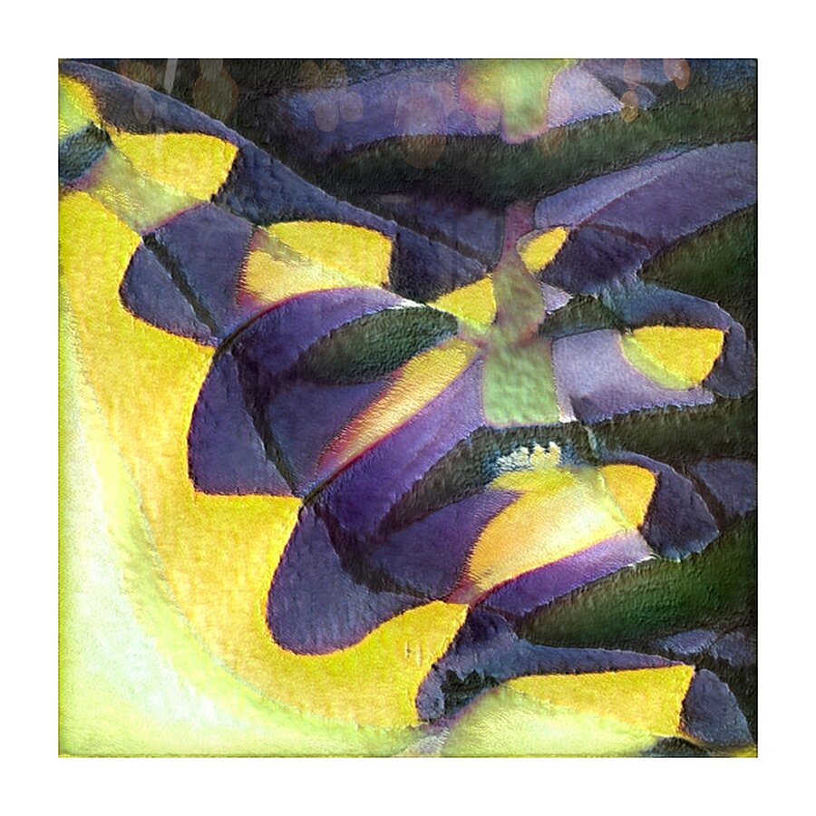 1529 8K Picture Frame print