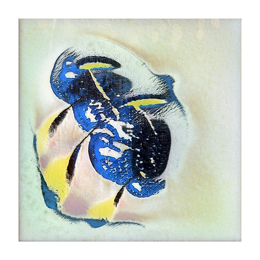 1544 8K Picture Frame print