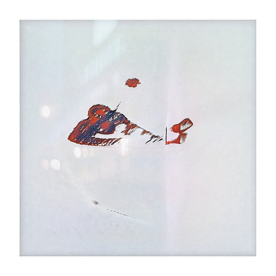 1569 8K Picture Frame print