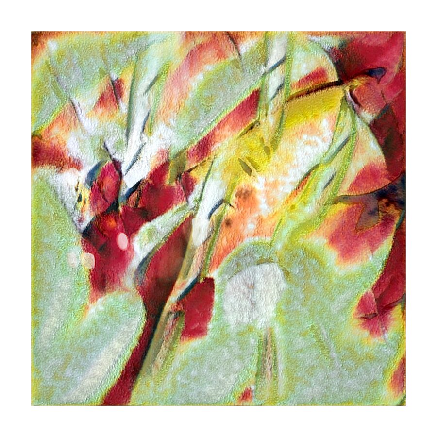 1624 8K Picture Frame print